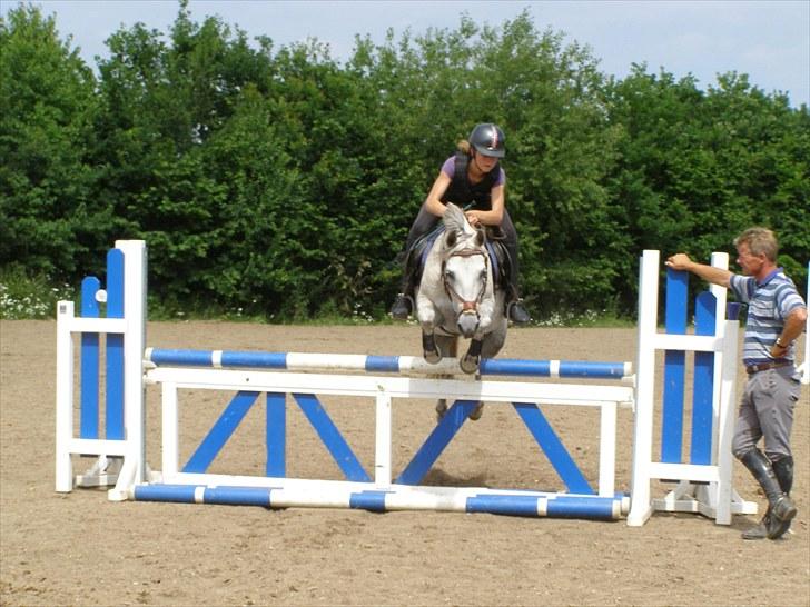 Anden særlig race Kiwi - <3<3<3<3 billede 18