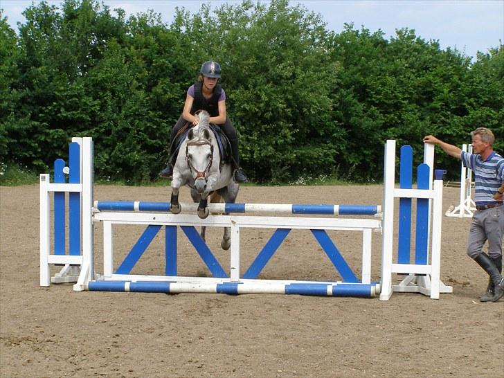 Anden særlig race Kiwi - =:) =:) =:) billede 19