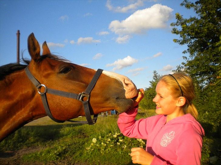 DSP Haahr´s Kithara †R.I.P† D.23. Aug 2010 :-( - Du vil aldrig blive glemt.. ‎23 august 2010 måtte du forlade verden.. billede 2