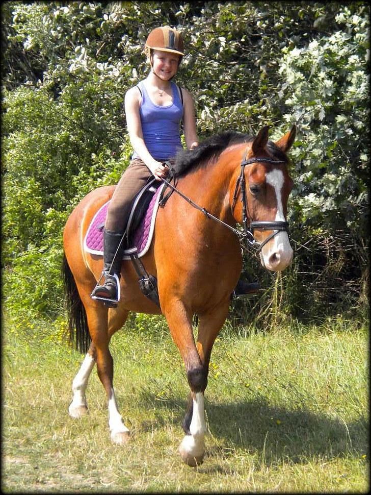 DSP Haahr´s Kithara †R.I.P† D.23. Aug 2010 :-( - Efter Dressur den 21. Juli 10 ;)    //LJ-foto. billede 4