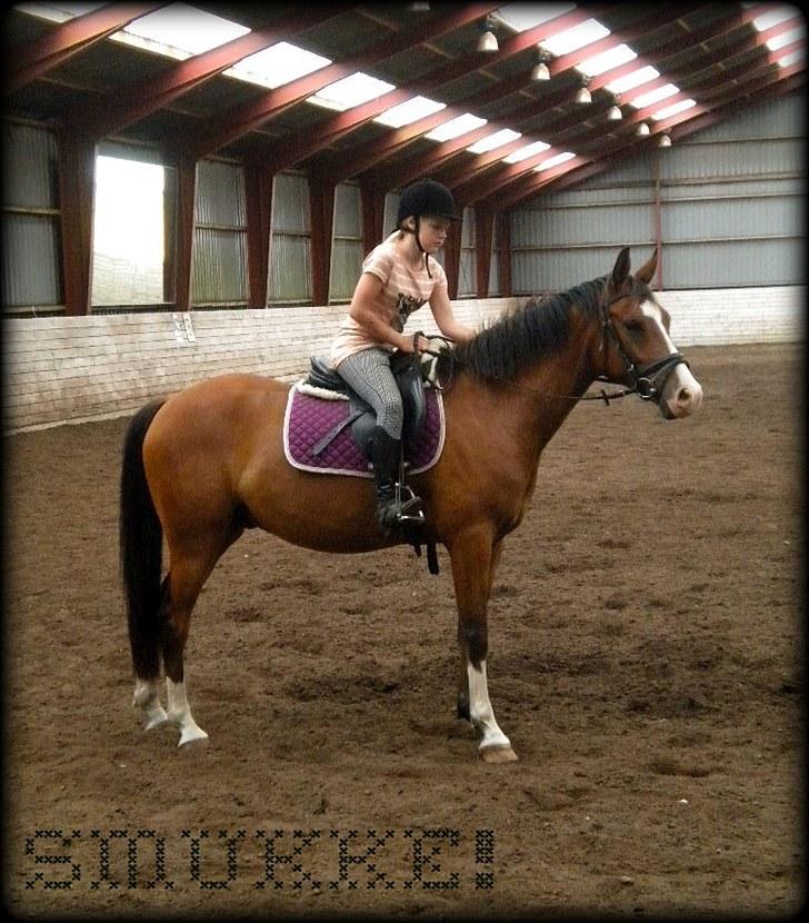 DSP Haahr´s Kithara †R.I.P† D.23. Aug 2010 :-( - Hygge ;) Den 19. Juli 10.     //LJ-foto. billede 6