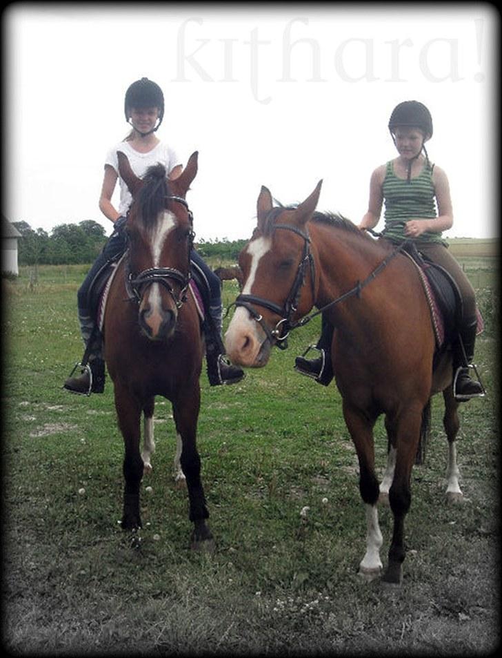 DSP Haahr´s Kithara †R.I.P† D.23. Aug 2010 :-( - Hygge ;) den 20. Juli.    //LJ-foto. billede 9