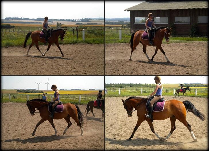 DSP Haahr´s Kithara †R.I.P† D.23. Aug 2010 :-( - Dressur den 20. Juli 2010 ;)      //LJ-foto. billede 10