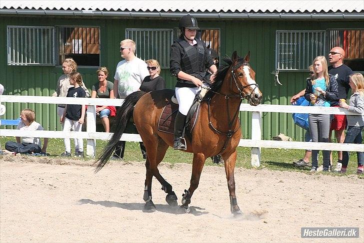 Anden særlig race Robin  - Breddestævne på SLRK red afd. A :) Var den eneste fejlfrie på holdet ;) Fotograf: Lone P billede 16