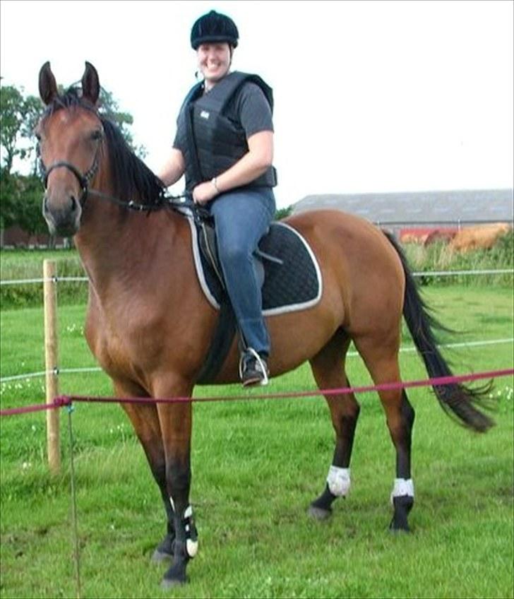 Anden særlig race Star billede 1