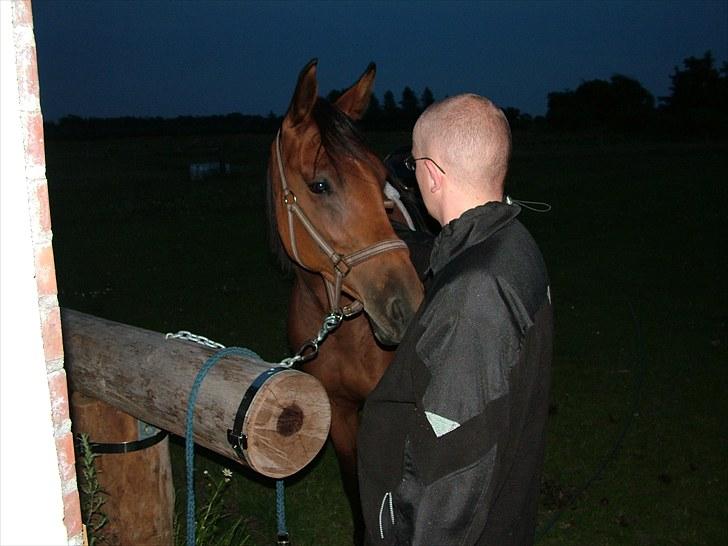 Anden særlig race Star billede 7