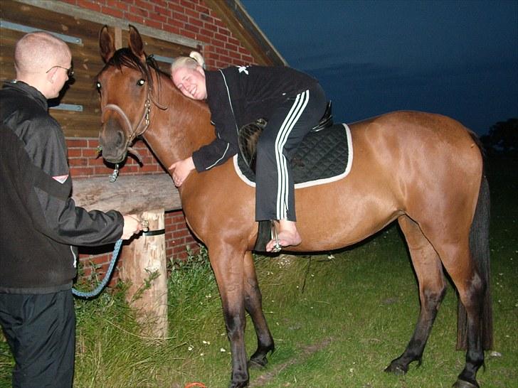 Anden særlig race Star billede 8