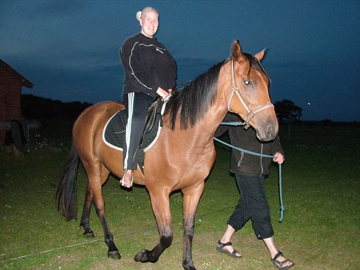 Anden særlig race Star billede 9