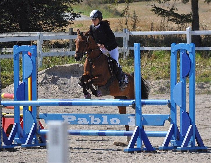 Hollandsk Sportspony Karlien. <3 *b-pony* - 10) distriktmesterskab. - 1. plads :) billede 10
