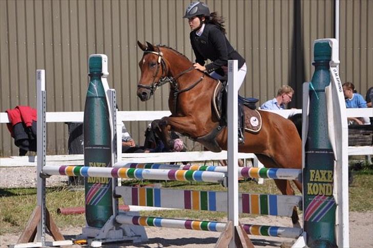 Hollandsk Sportspony Karlien. <3 *b-pony* - 13) distriktmesterskab. - 1. plads :) billede 13