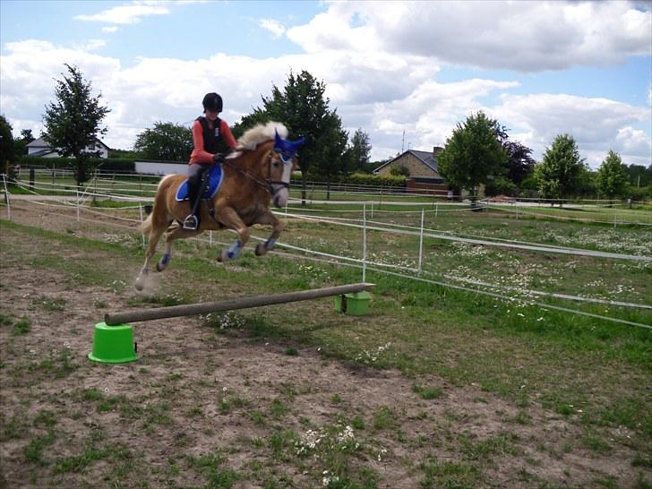 Anden særlig race amanda solgt - søde amanda billede 6