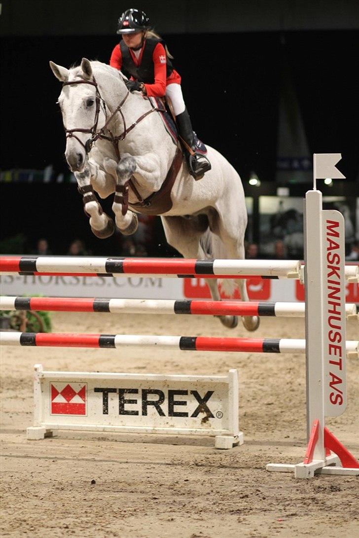 Oldenborg Cancan 4 - JBK 2010 - Stjerne Cancan <3 billede 20