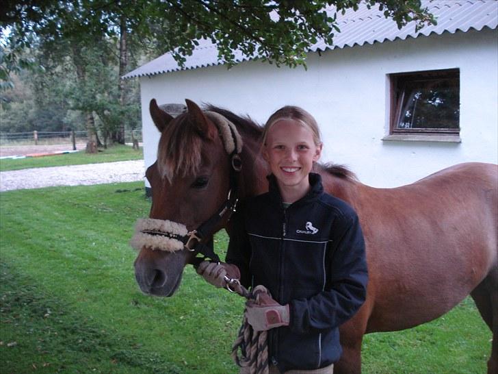 Welsh Pony (sec B) Stoak Laura (Stoakie) - septemper 2009. mig og min lille engel <3 billede 5