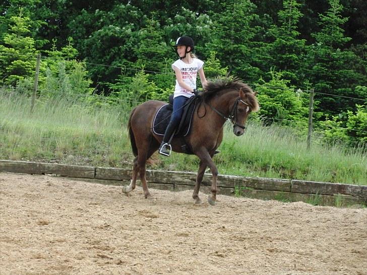 Welsh Pony (sec B) Stoak Laura (Stoakie) - Undervisning i foråret 2010 billede 7