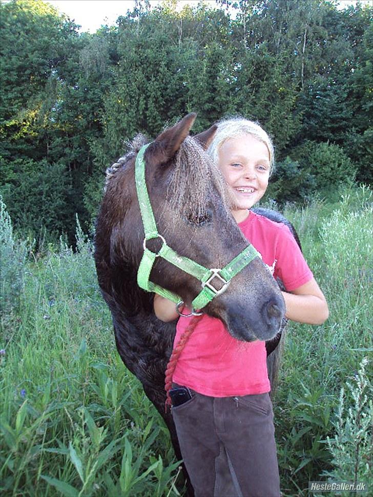 Anden særlig race lucas (himmelhest) - fordi lucas er så smuk :-) billede 17