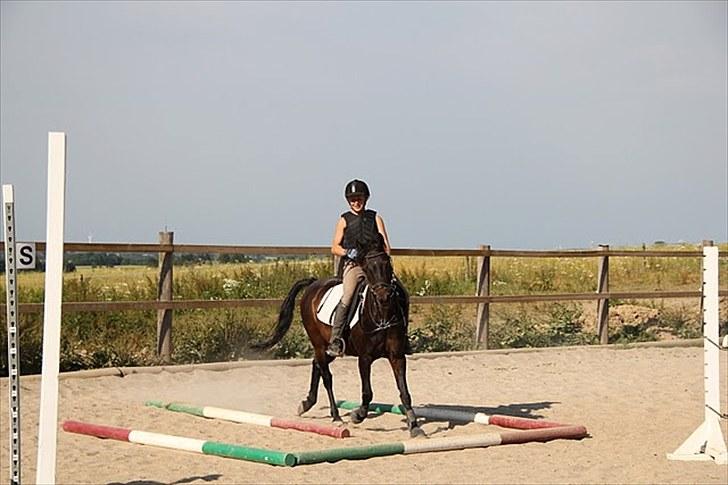 Anden særlig race Tarzan "mit et og alt,-drømme ponyen"<3 - 2010. Labyrint vi kunne ikke komme helt ned i fart:-) billede 18