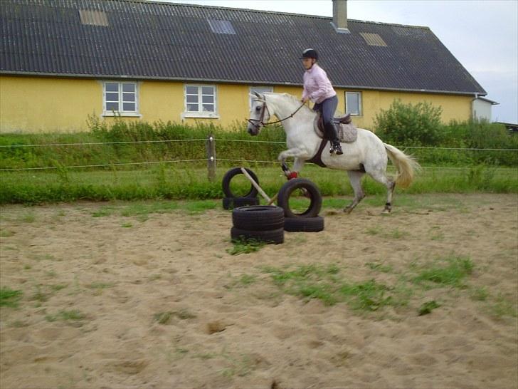 Connemara Rabel'<33 'Solgt'<3 - Det ser fandme prof. ud!! :´D ((not)) billede 20