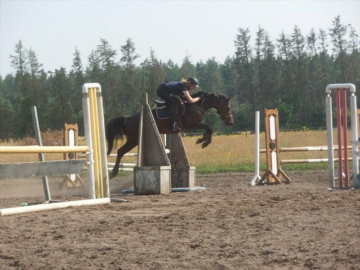 Tysk Sportspony Nixe Noel - 15. Undervisning ved Bas d. 21/7-2010  -  Vand.. :D billede 16