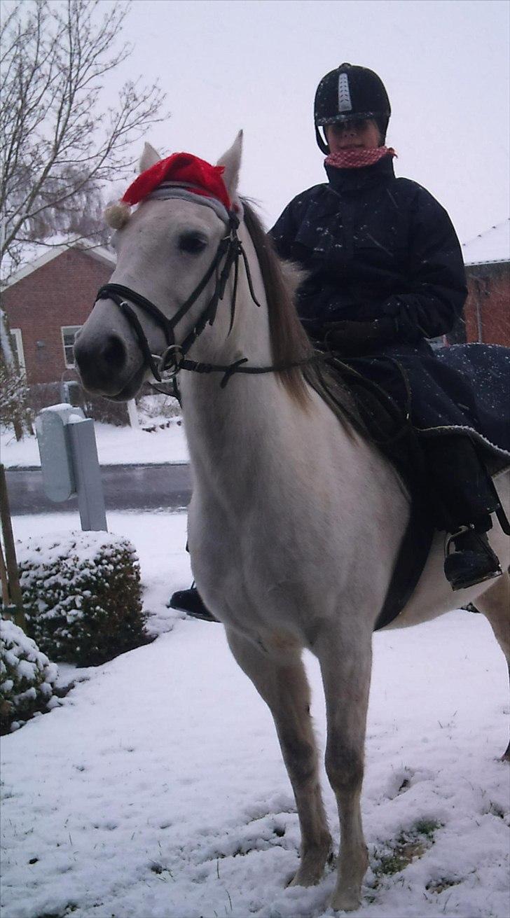 Anden særlig race Minka *Mit eventyr II-:* - ~ Billede 12 i: billede 12