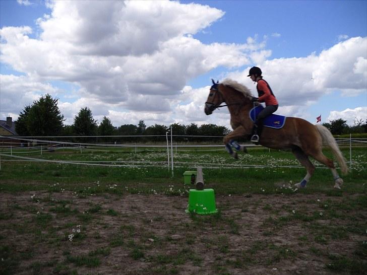 Anden særlig race amanda solgt billede 7