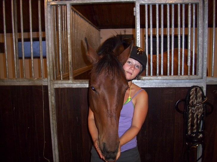 Trakehner BARCARDI ELMEGAARD  - Cardi og jeg :) billede 5