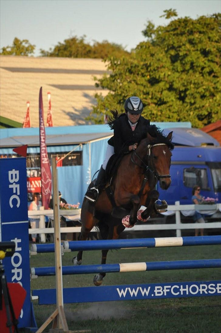 Hollandsk Sportspony Karlien. <3 *b-pony* - 15) Copenhagen horse show, MB - 7. plads. billede 15