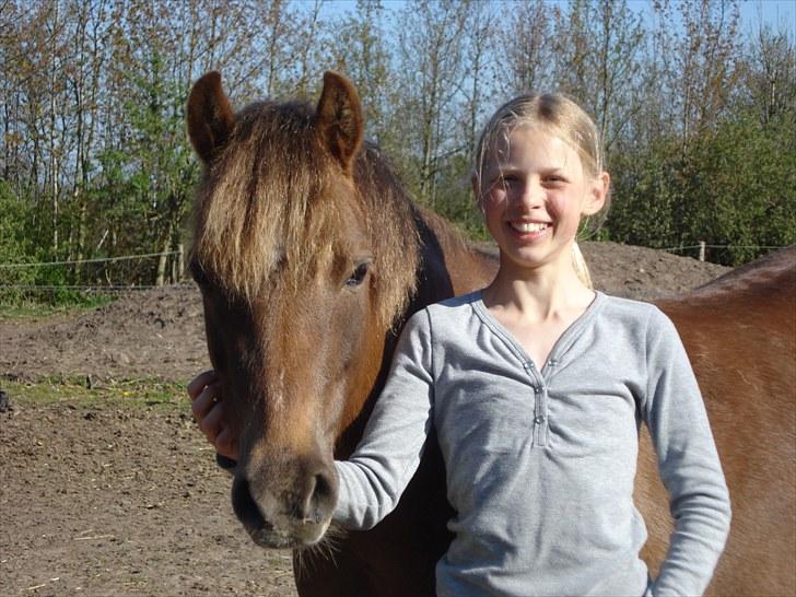 Welsh Pony (sec B) Stoak Laura (Stoakie) - Du betyder alt min prinsesse <3 billede 14