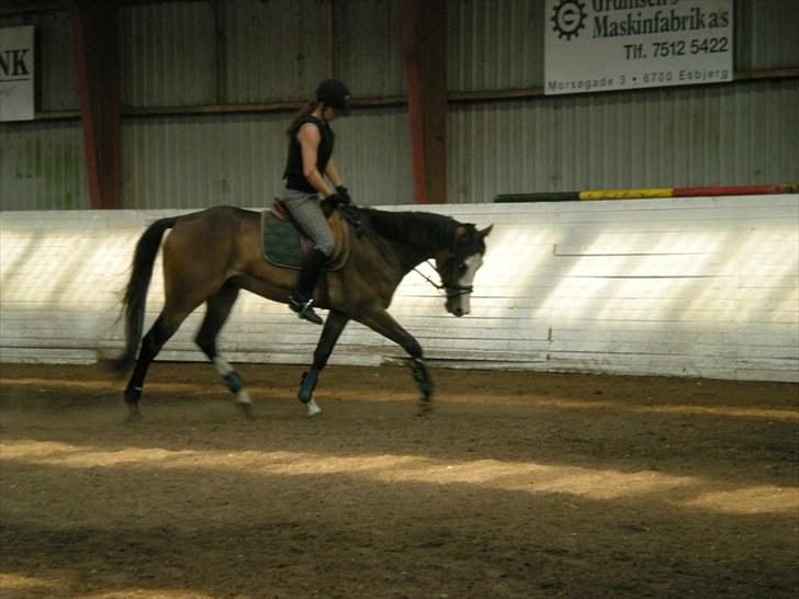 Paint Dunlaps Master Chief <3  billede 8