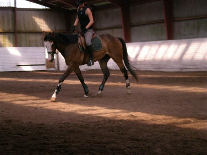 Paint Dunlaps Master Chief <3  billede 9