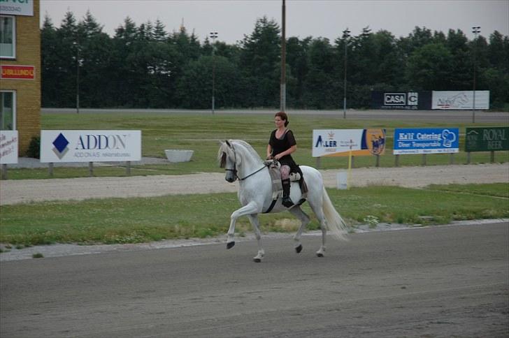 Cruzado boqueron - show i Billund billede 8