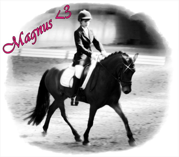 Anden særlig race Magnus [SOLGT] :'( billede 12