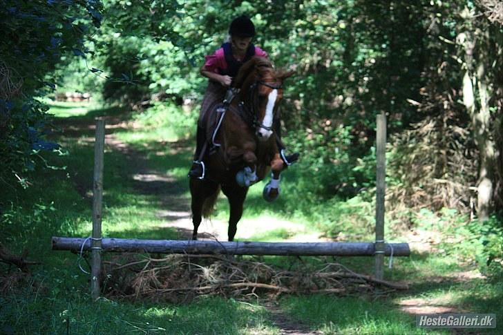 DSP Vejlebro's Pondus Solgt<3 - Pondus og mig i skoven på ridelejr 2010 foto: Vp  billede 13