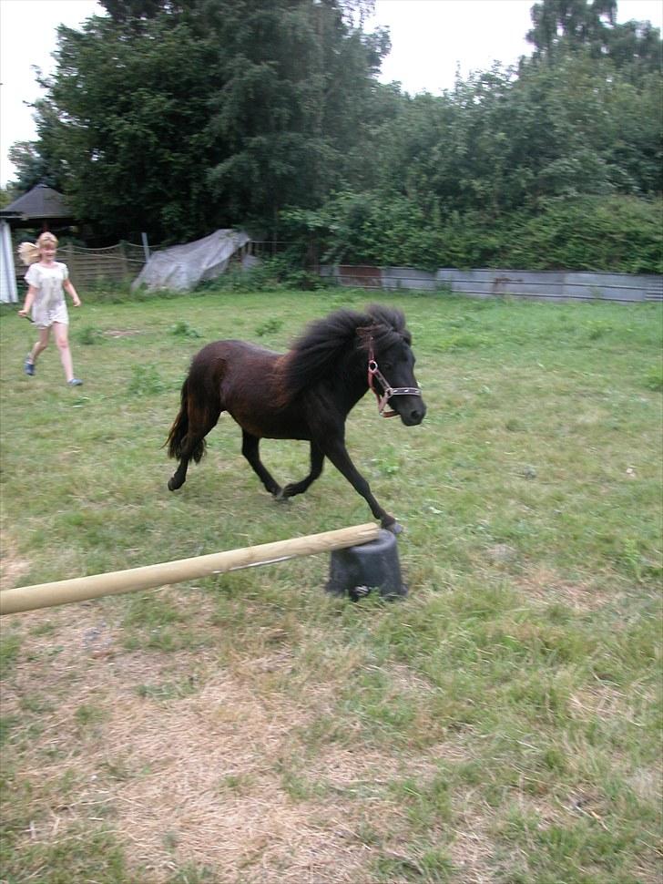 Miniature *Lille Ronja* billede 10