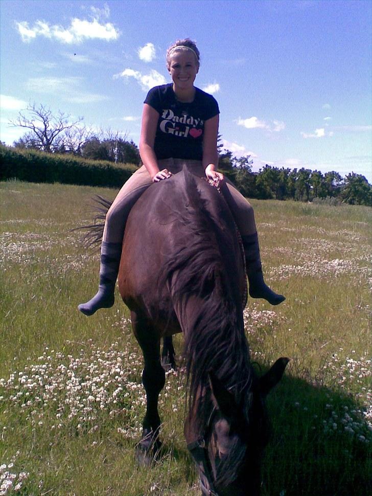 Anden særlig race Lukas *Himmelhest* - Det er lidt hyggeligt, med en lille ridetur;-)) billede 2