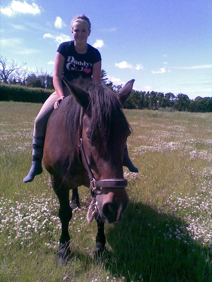 Anden særlig race Lukas *Himmelhest* - De nyder det begge to;-)) billede 3