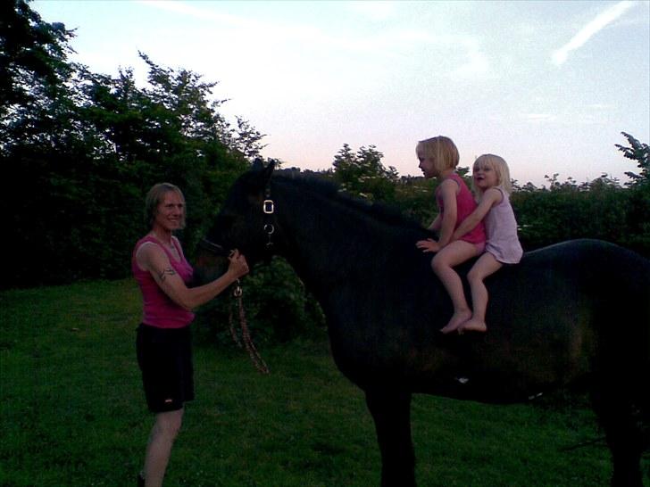 Anden særlig race Lukas *Himmelhest* - de hyggede sig rigtigt alle 3 ( lukas og pigerne) billede 4