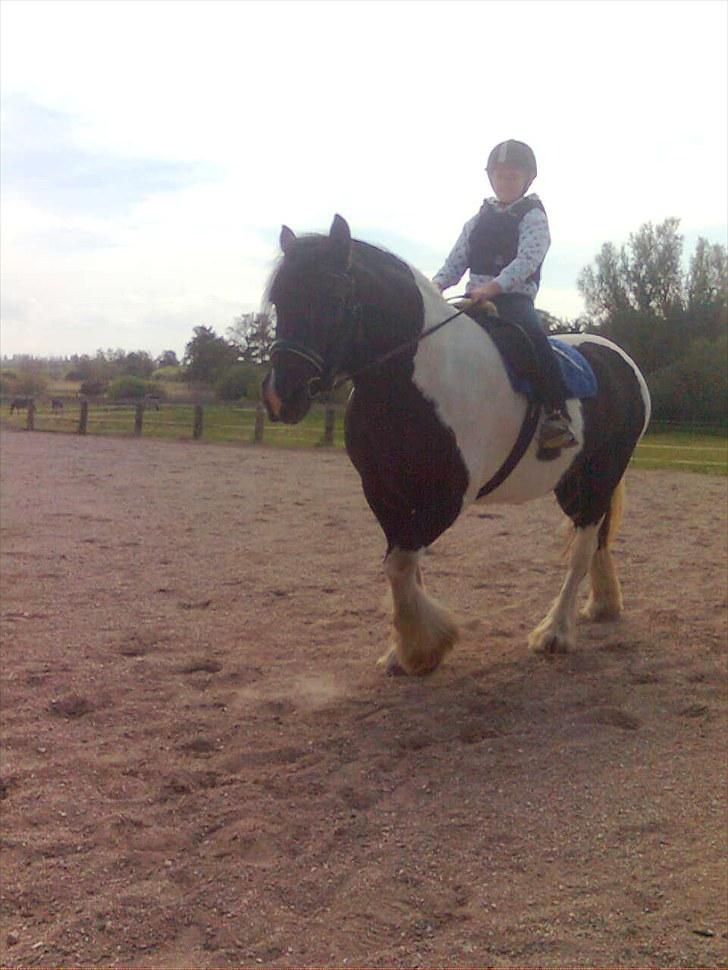 Tinker mollie billede 1