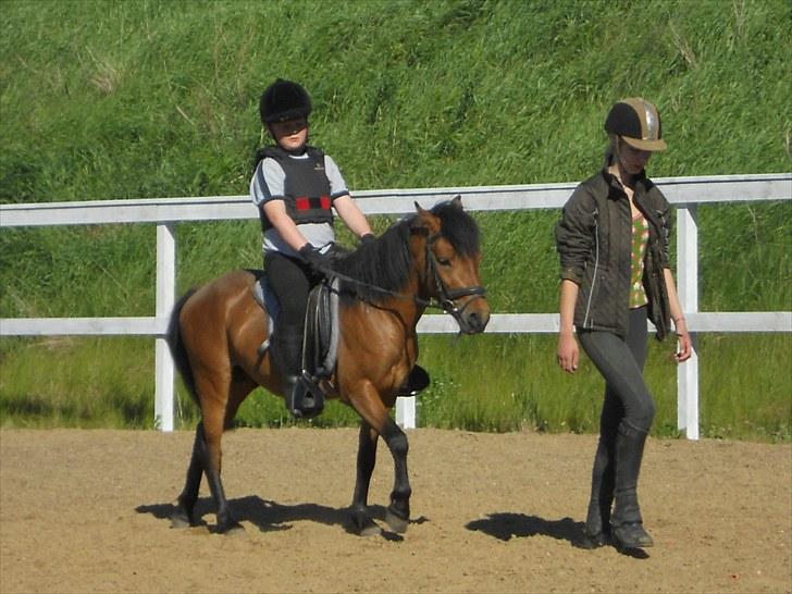 Anden særlig race Herkules, hingst. - Det går forrygende, vi har et match... billede 3