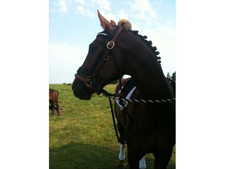 {{currentPhoto.altText}} billede {{currentPhoto.number}}