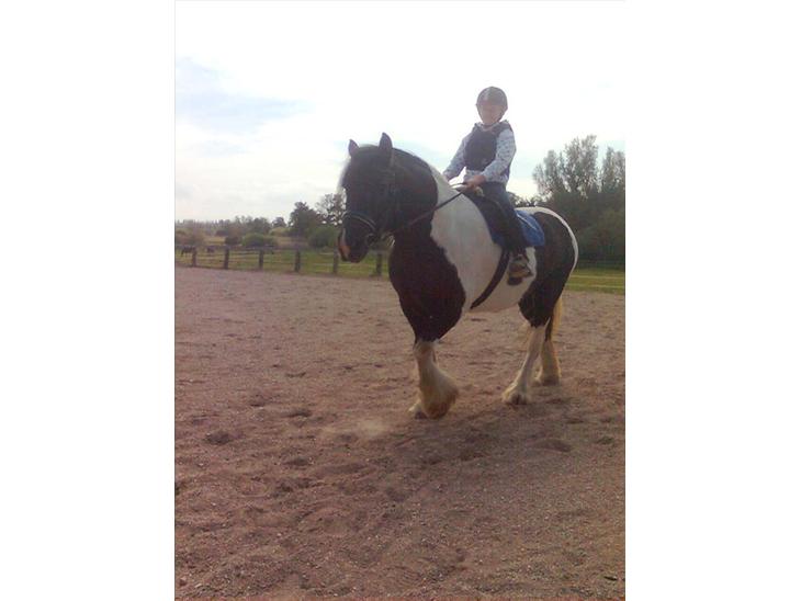 {{currentPhoto.altText}} billede {{currentPhoto.number}}