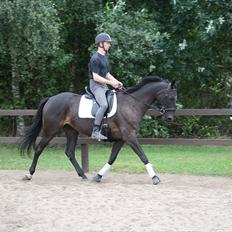 Anden særlig race Anna Alana *byttet væk*