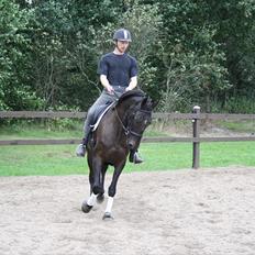 Anden særlig race Anna Alana *byttet væk*