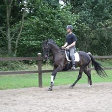 Anden særlig race Anna Alana *byttet væk*