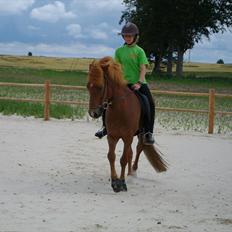 Islænder Goði fra Katulabo