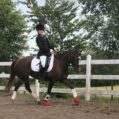 New Forest SG, Madonna<3 *Solgt*