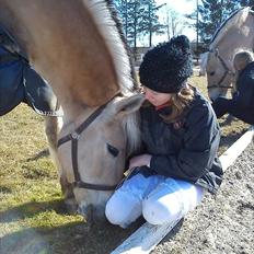 Fjordhest KøgeSportsrideklub's Pegasus