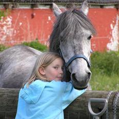 Anden særlig race  Stella<3 SOLGT 