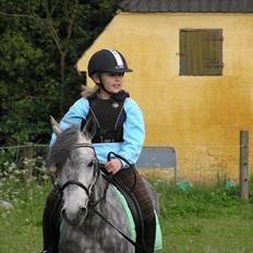 Anden særlig race  Stella<3 SOLGT 