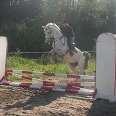 Holstener Katrinebjergs Sonate