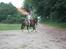 DSP Pajens Olivar - Juli 2010 - Olivar og jeg i Bagterp skov og ride dressur med Camilla & Aikido *S*